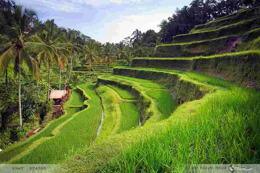 Photo of Bali, Indonesia by Kanika Kalia