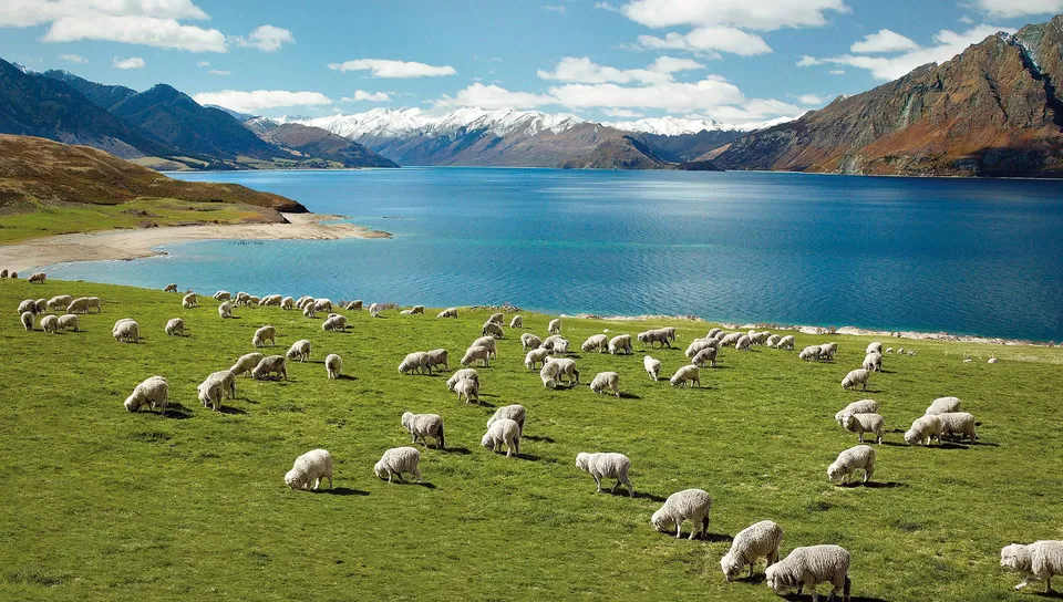 Photo of Wellington, New Zealand by Kanika Kalia