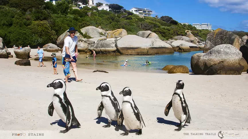 Photo of Cape Town, Western Cape, South Africa by Kanika Kalia