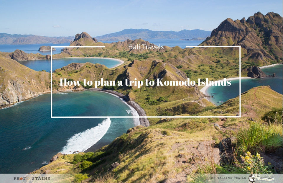 How To Plan A Trip To Komodo Islands Tripoto 1950