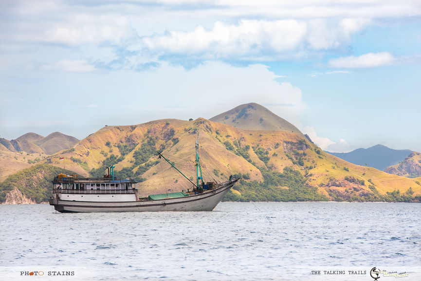Photo of HOW TO PLAN A TRIP TO KOMODO ISLANDS by Kanika Kalia
