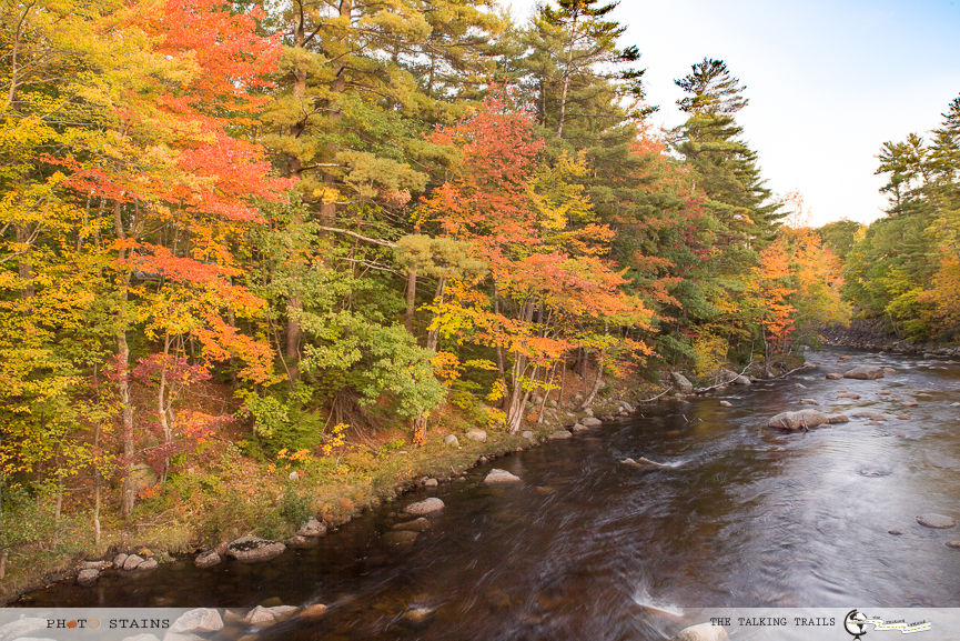 Photo of BEST FALL FOLIAGE DRIVES IN NEW ENGLAND 3/11 by Kanika Kalia