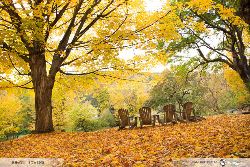 Photo of BEST FALL FOLIAGE DRIVES IN NEW ENGLAND 5/11 by Kanika Kalia