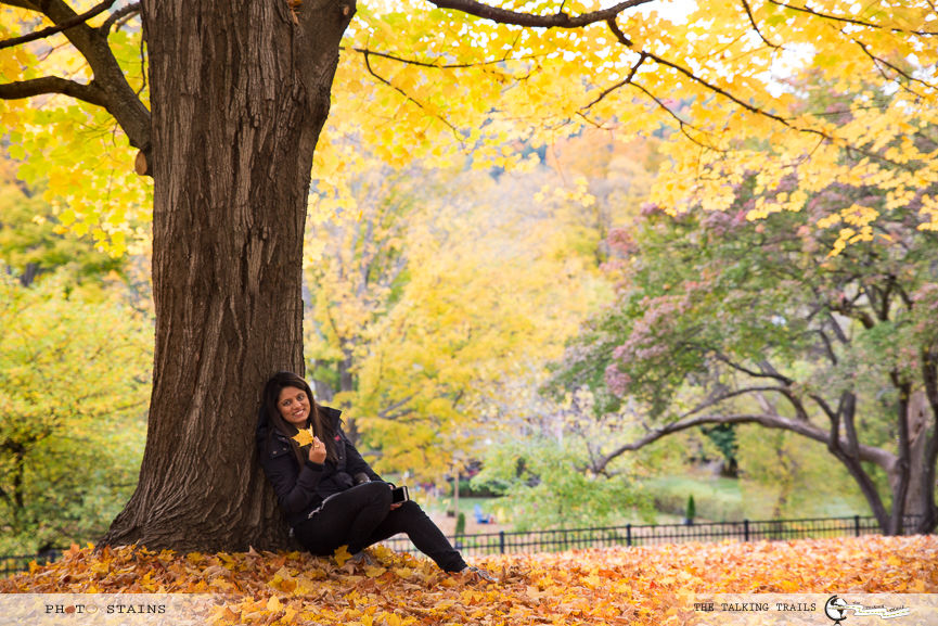 Photo of BEST FALL FOLIAGE DRIVES IN NEW ENGLAND 7/11 by Kanika Kalia