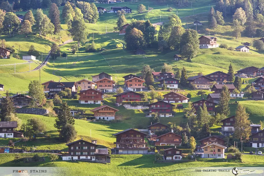 Photo of Grindelwald, Switzerland by Kanika Kalia