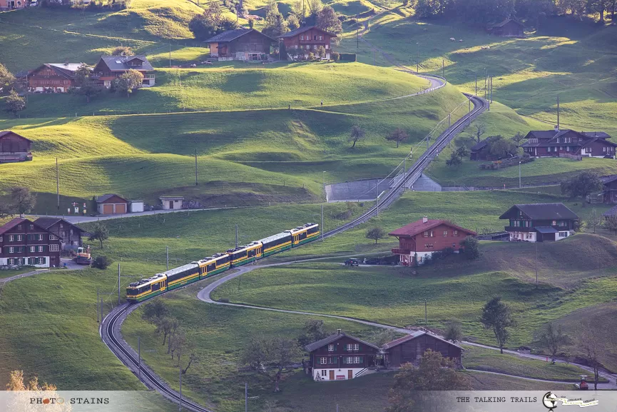 Photo of Grindelwald, Switzerland by Kanika Kalia