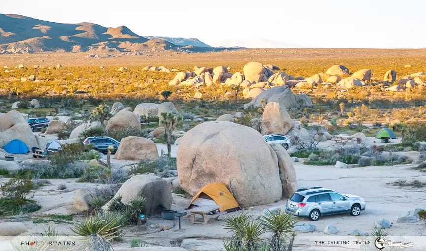 Photo of TIPS FOR VISITING JOSHUA TREE NATIONAL PARK by Kanika Kalia