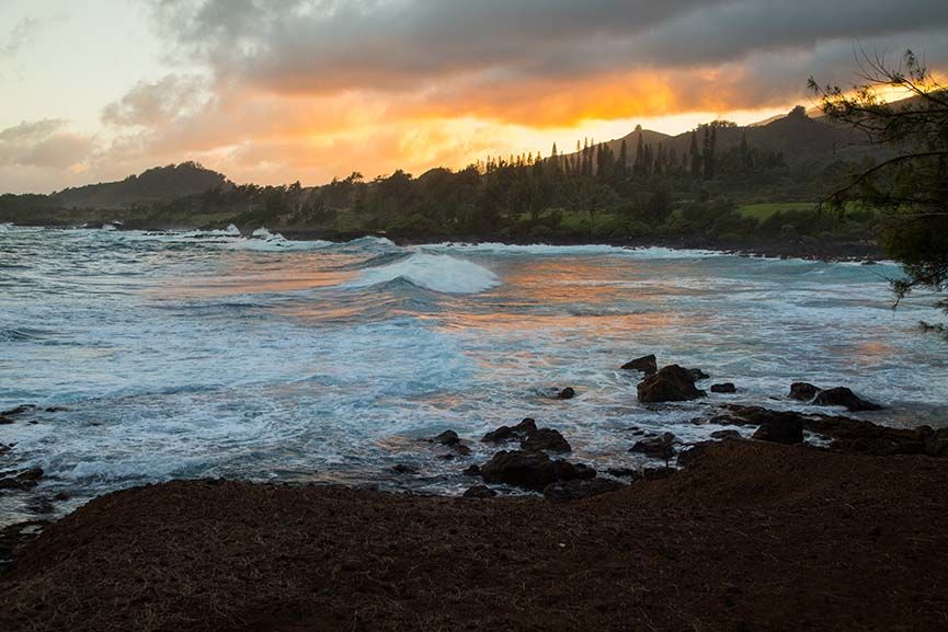 Top Reasons To Visit Maui - Tripoto