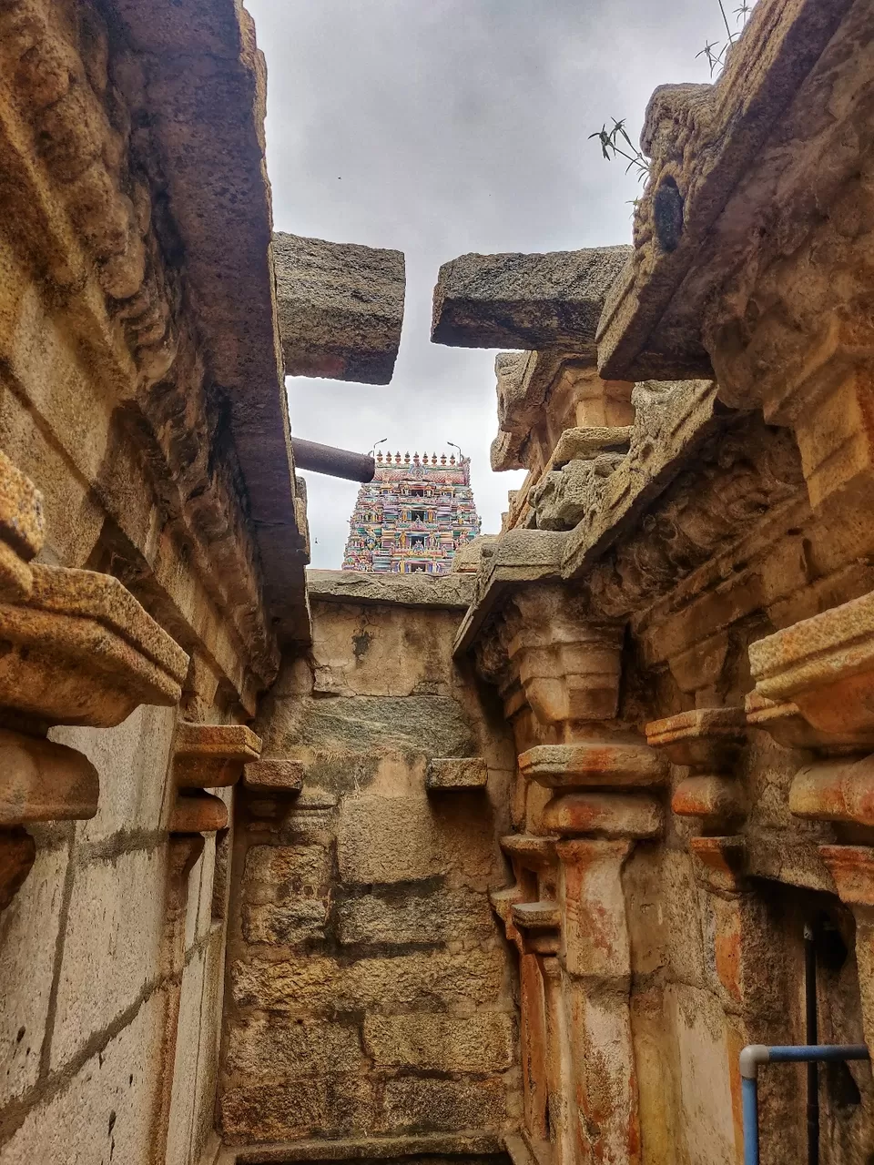 Photo of Hidden gem in the city by nithinpn86