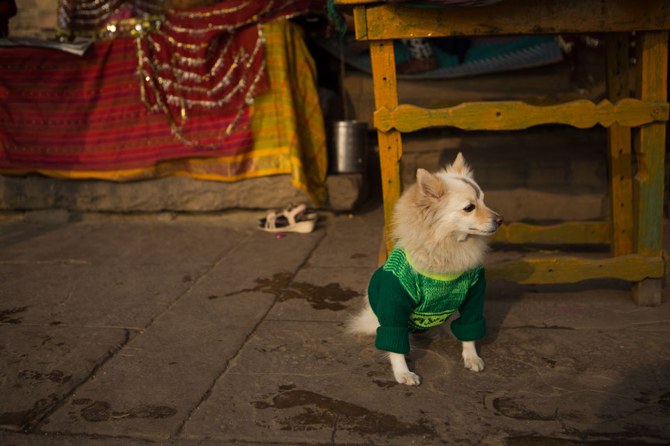 Photo of Walk in the Ghats by nithinpn86