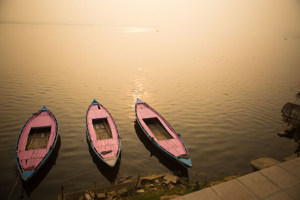 Photo of Walk in the Ghats by nithinpn86