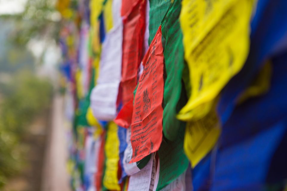 Photo of Sarnath- Place of Tranquility and Peace 11/20 by nithinpn86