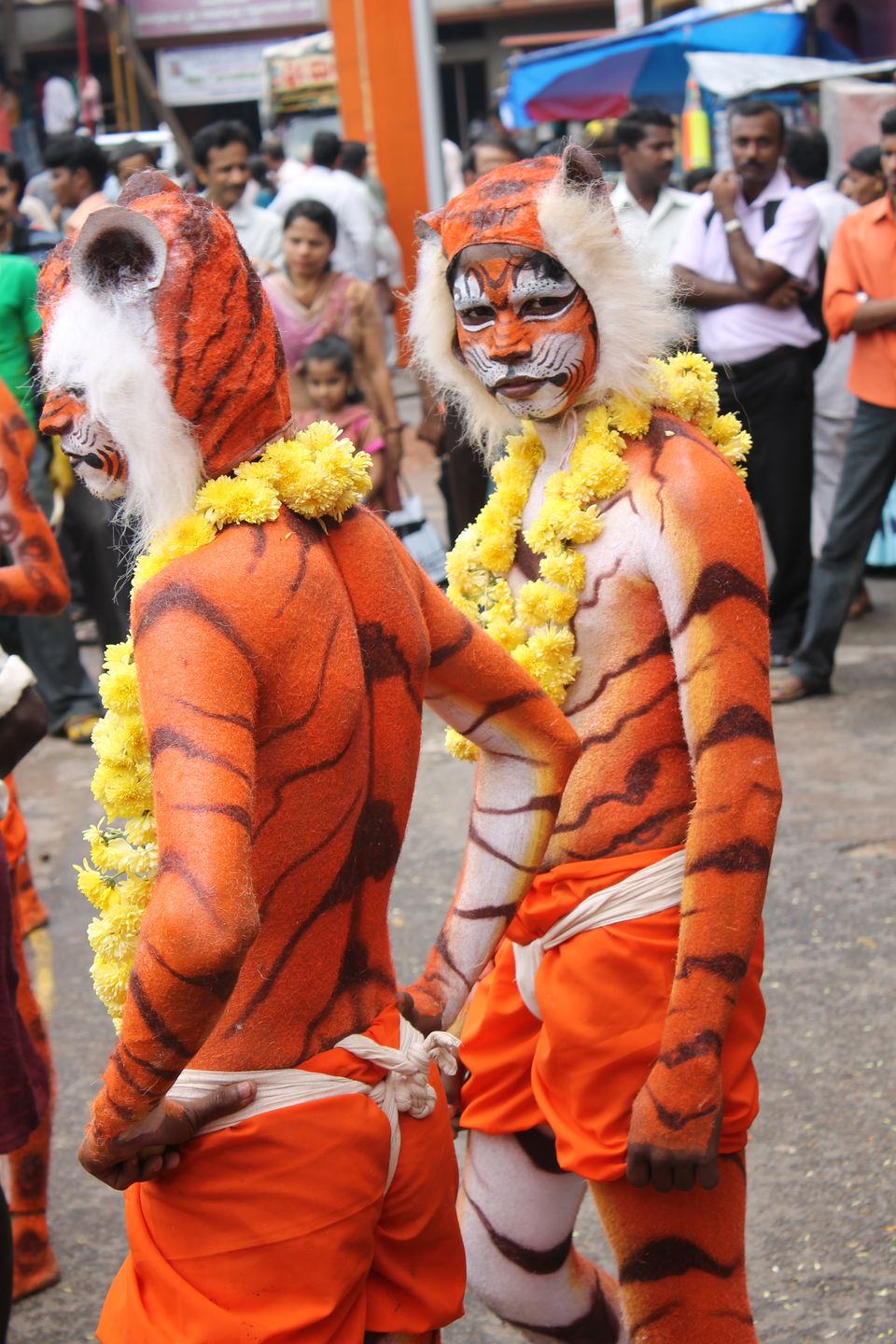 Photo of India is not a Country, Its a World of its Own, #iloveindia 12/32 by nithinpn86
