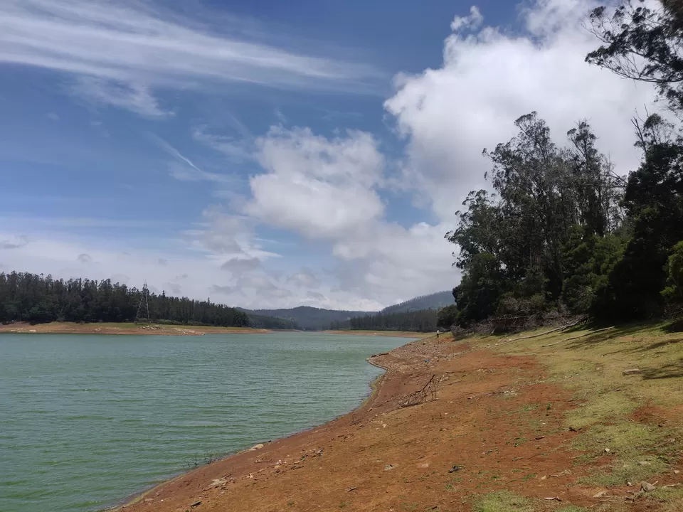 Photo of Pine Forest Shooting Spot, Nagapattinam - Coimbatore - Gundlupet Highway, Tamil Nadu, India by nithinpn86