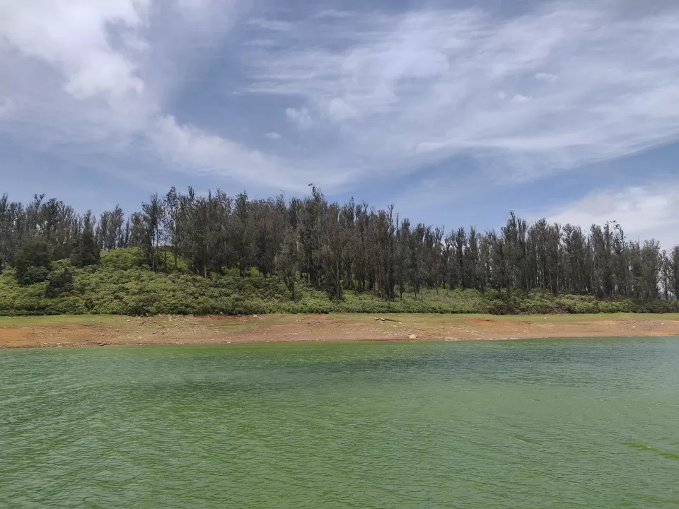 Photo of Pine Forest Shooting Spot, Nagapattinam - Coimbatore - Gundlupet Highway, Tamil Nadu, India by nithinpn86