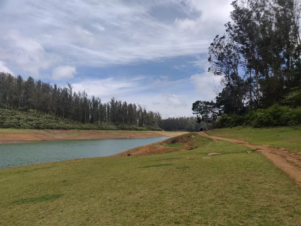 Photo of Pine Forest Shooting Spot, Nagapattinam - Coimbatore - Gundlupet Highway, Tamil Nadu, India by nithinpn86