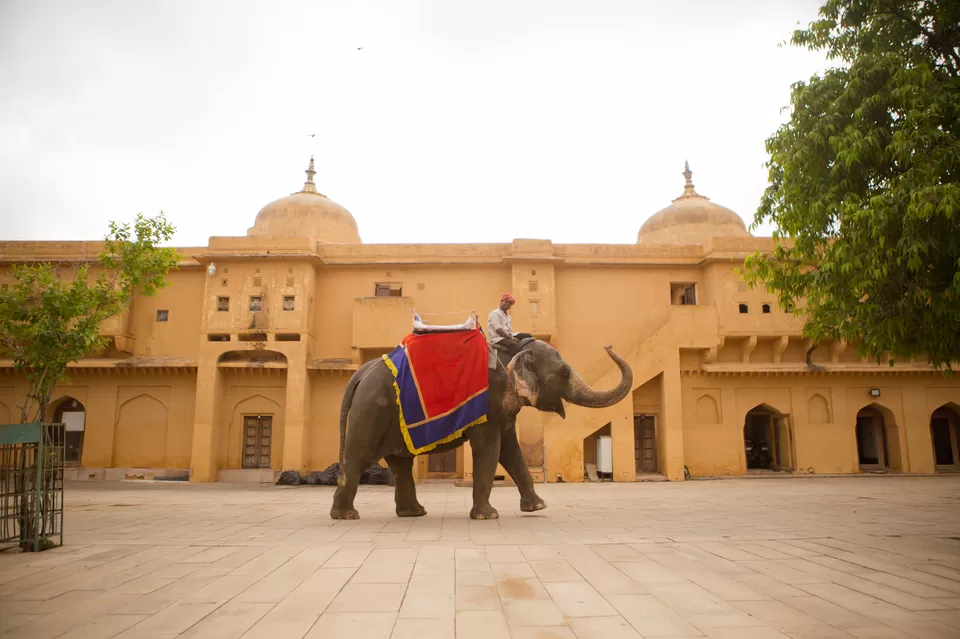 Photo of Amer fort jaipur, Devisinghpura, Amer, Jaipur, Rajasthan, India by nithinpn86