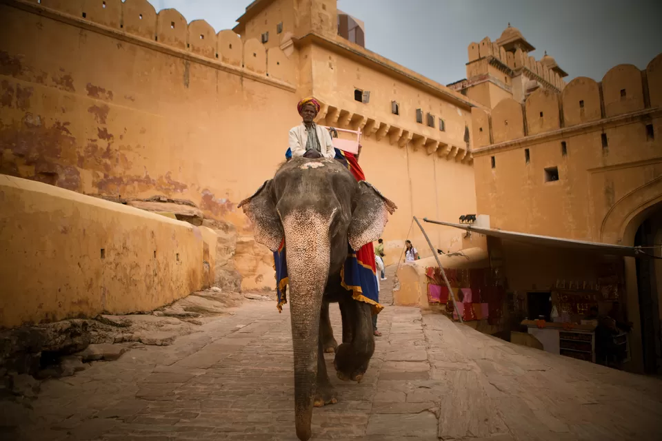 Photo of Amer fort jaipur, Devisinghpura, Amer, Jaipur, Rajasthan, India by nithinpn86