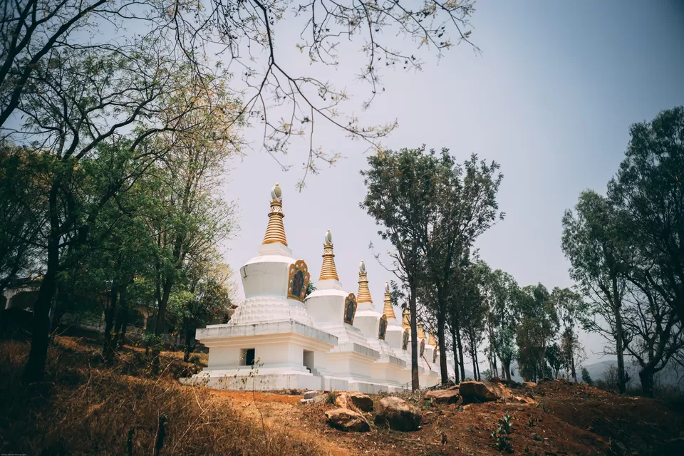 Photo of Dzogchen Monastery, Dhondenling Tibetan Settlement, Karnataka, India by nithinpn86