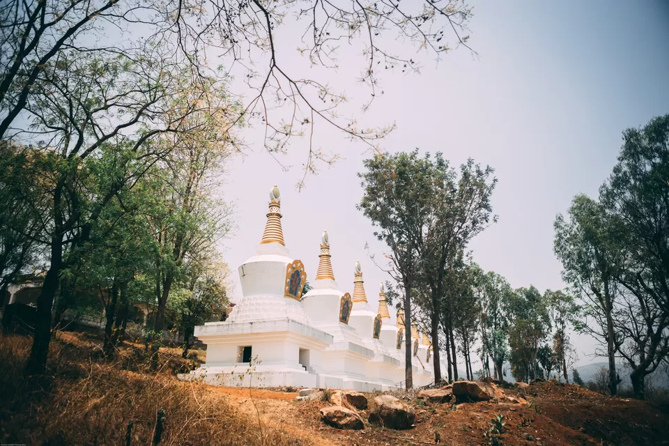 Photo of Dzogchen Monastery, Dhondenling Tibetan Settlement, Karnataka, India by nithinpn86