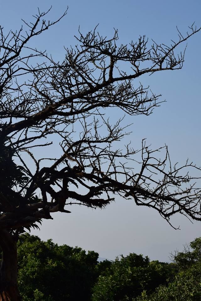 Photo of A weekend in Mahabaleshwar 3/13 by Nidhi Rani