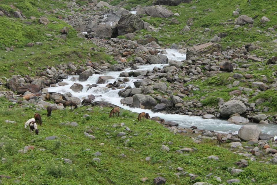 Photo of My First Himalayan Trek -- Hampta Pass Trek 3/14 by Pooja Shah