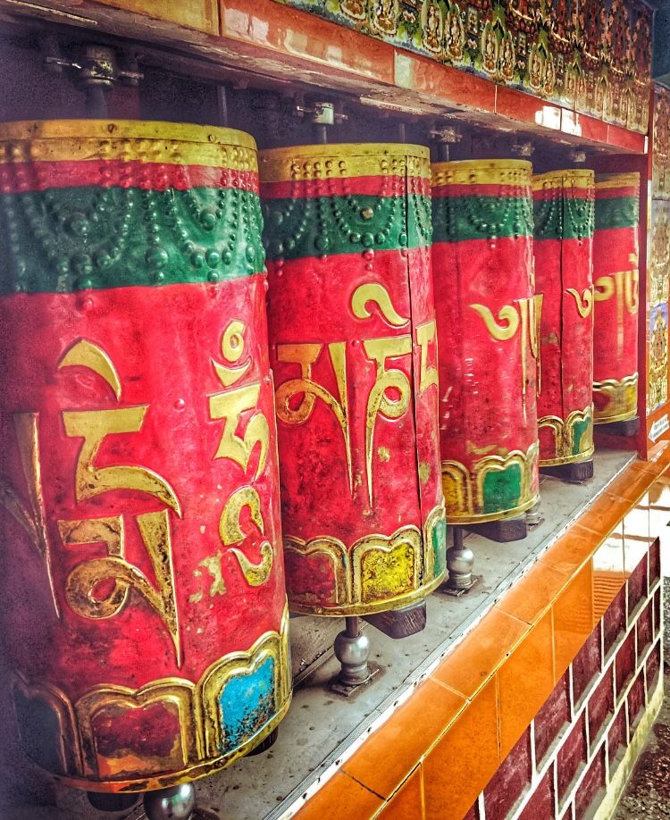 Photo of Namgyal Monastry, Temple Road, McLeod Ganj, Dharamshala, Himachal Pradesh, India by Pooja Shah