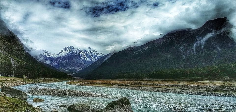Photo of Yumthang Valley, Sikkim, India by Pooja Shah