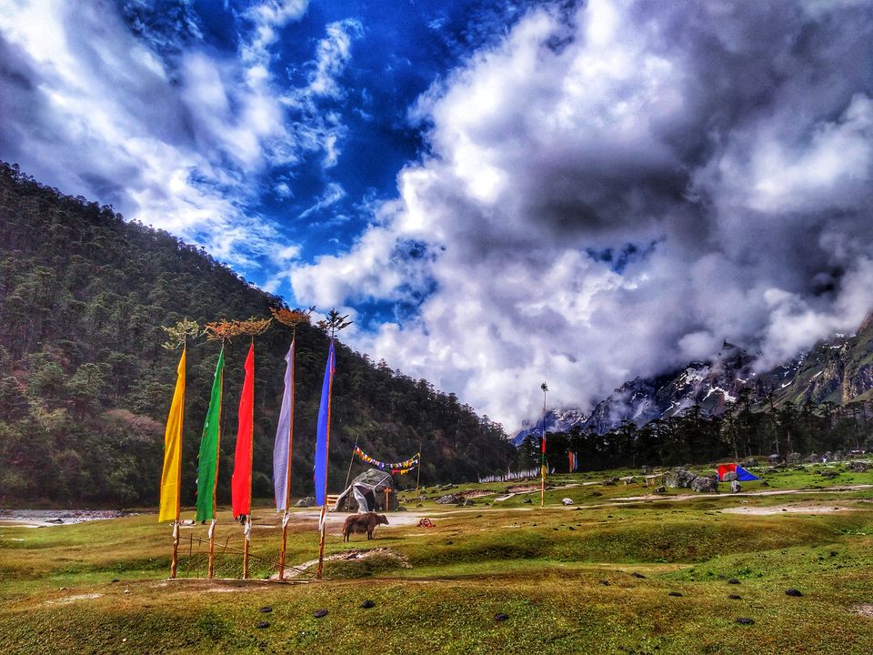 Photo of Yumthang Valley, Sikkim, India by Pooja Shah