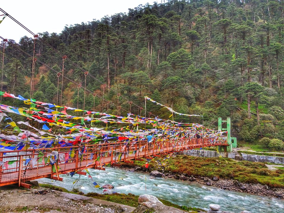Photo of Lost my heart in Sikkim!! - Detailed by Pooja Shah
