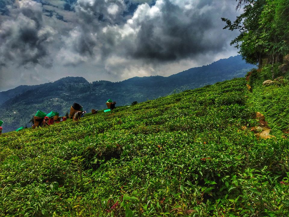 Photo of Namchi, Sikkim, India by Pooja Shah