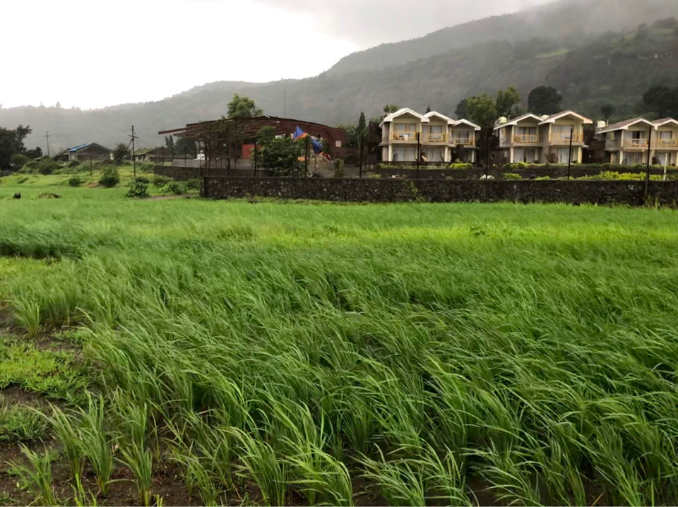 Photo of Maharashtra by Rashmi Goyal Jalan