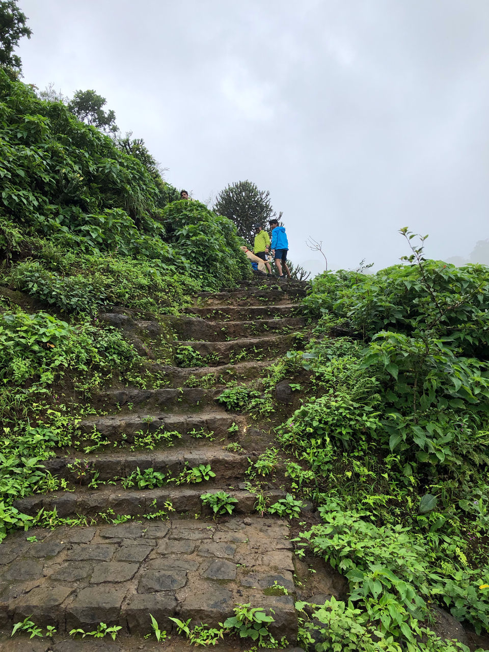 Photo of Maharashtra by Rashmi Goyal Jalan