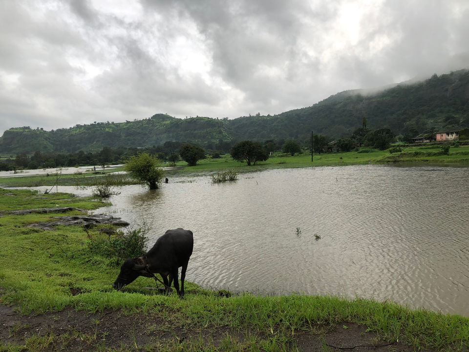 Photo of Malshej Ghat, Maharashtra by Rashmi Goyal Jalan