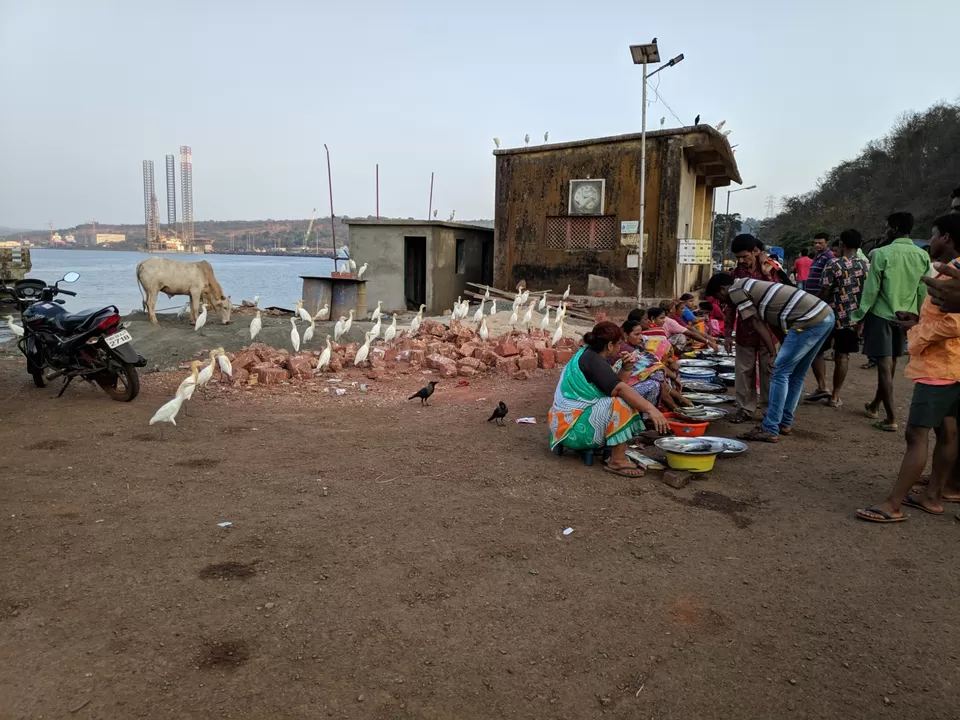 Photo of West Coast Ride by Rakesh Bisth