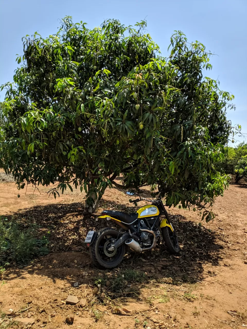 Photo of West Coast Ride by Rakesh Bisth