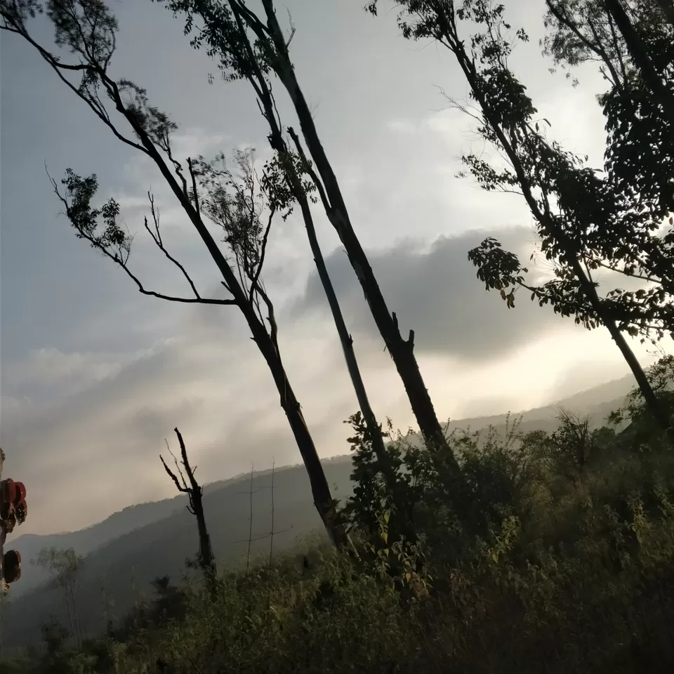 Photo of U cant Wait For a Ride towards Nature Lap!!! by karan n c
