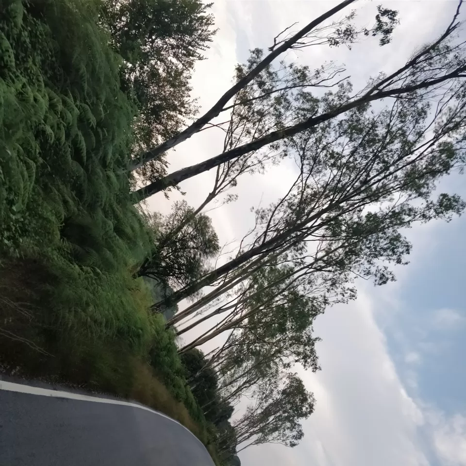 Photo of U cant Wait For a Ride towards Nature Lap!!! by karan n c