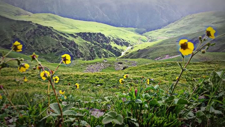 Photo of Lohajung, Lohajung - Wan Rd, Uttarakhand 246435, India by World of Wanderer