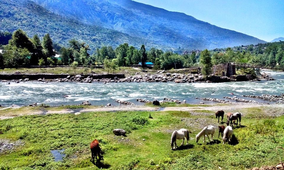 Photo of What trekking across Himalayas looks like! 4/10 by World of Wanderer
