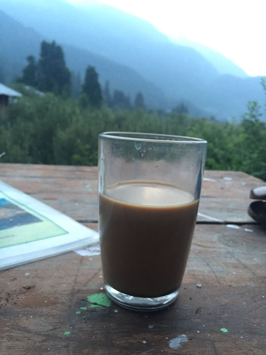 Photo of Majestic valley of Orchards,Pastures & Prairies-KALGA&PULGA by Mitaank Sharma