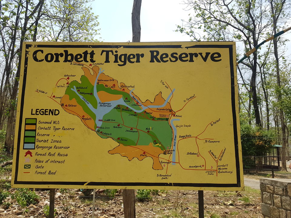 Photo of Jim Corbett National Park - Wildlife & Beyond 2/2 by Saif Sheikh