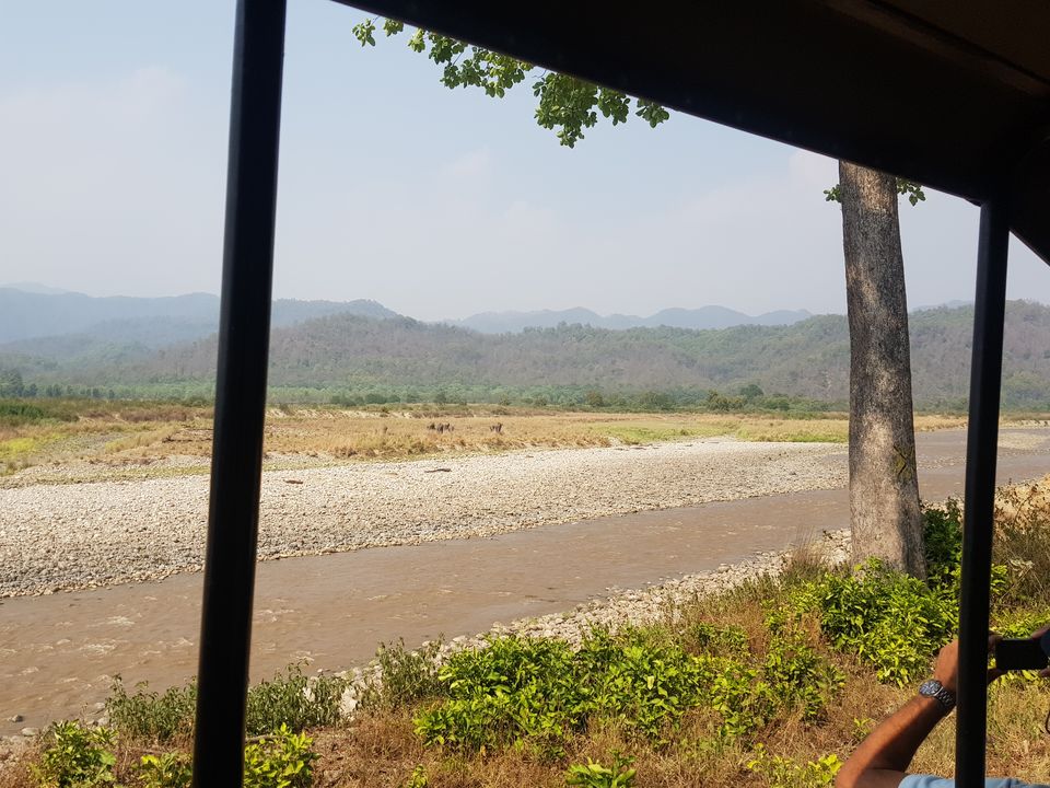 Photo of Jim Corbett National Park - Wildlife & Beyond by Saif Sheikh