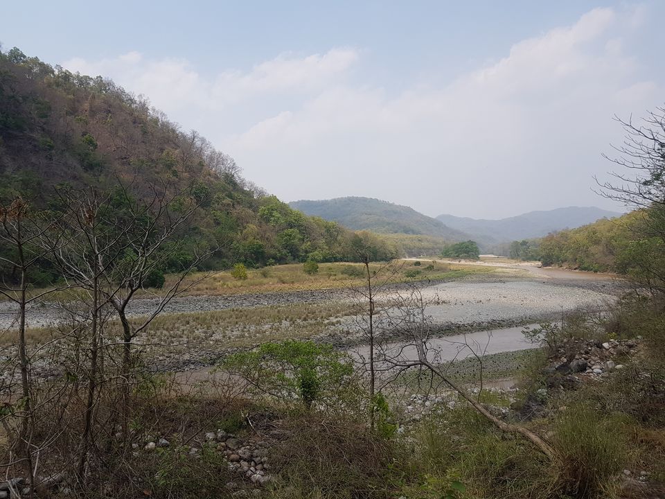 Photo of Jim Corbett National Park - Wildlife & Beyond by Saif Sheikh