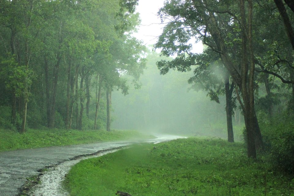 Photo of We were tired so we left. by Shubhanshu Singh