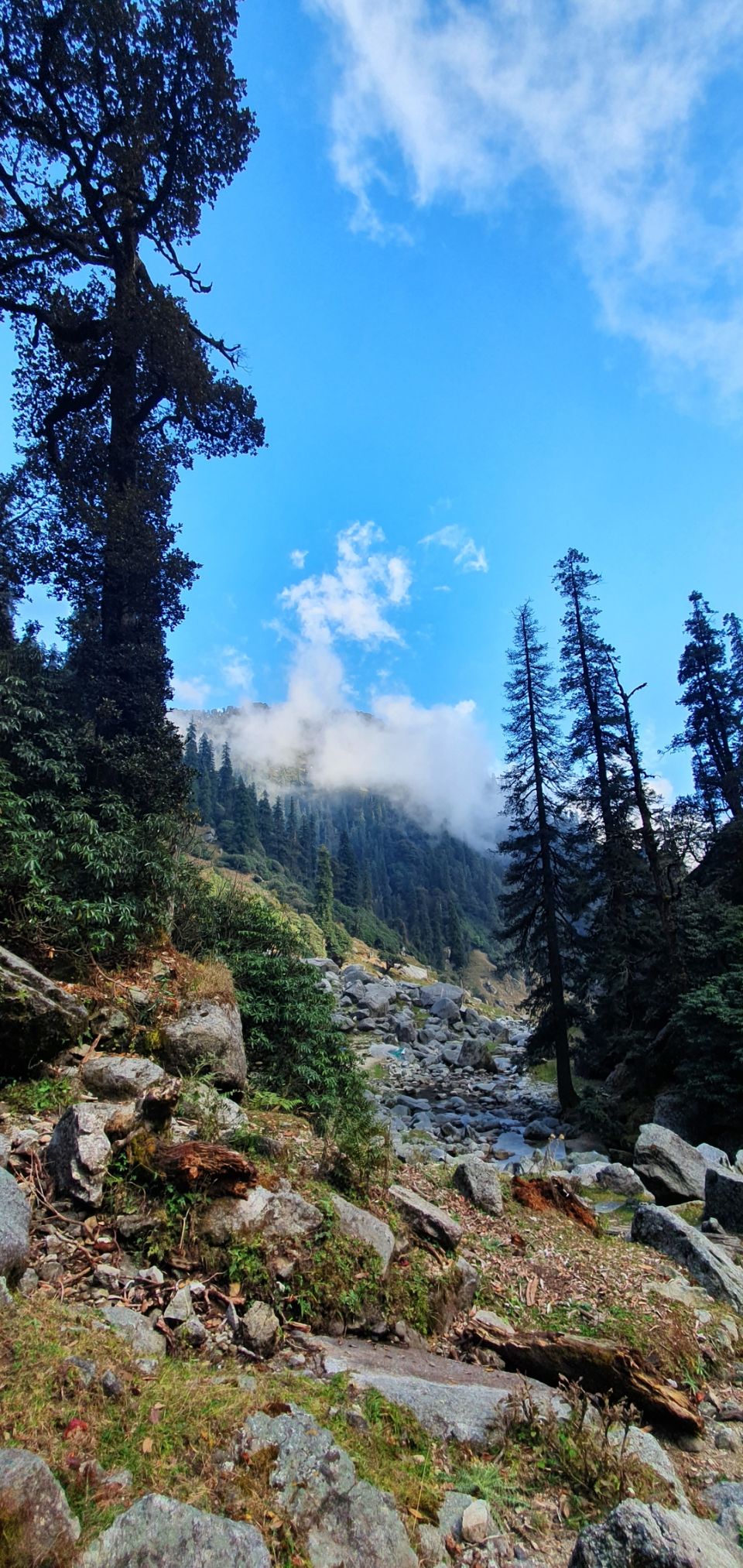 Photo of Kareri Lake Trek, Kareri Lake, Dharamshala, Himachal Pradesh, India by Priyanshu Singh