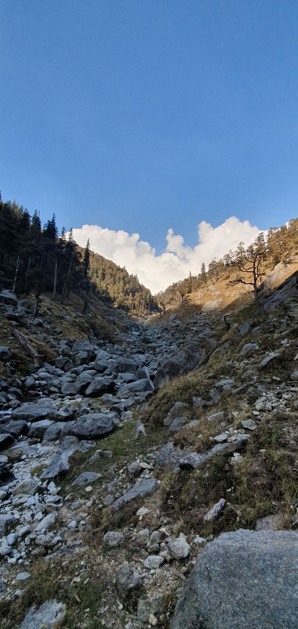 Photo of Kareri Lake Trek, Kareri Lake, Dharamshala, Himachal Pradesh, India by Priyanshu Singh