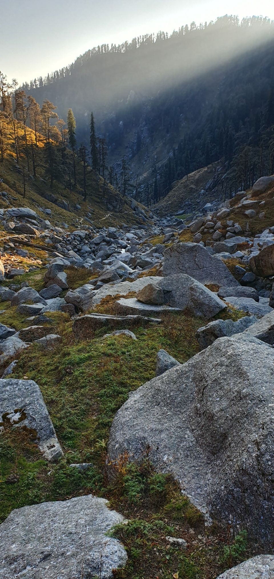 Photo of Kareri Lake Trek, Kareri Lake, Dharamshala, Himachal Pradesh, India by Priyanshu Singh