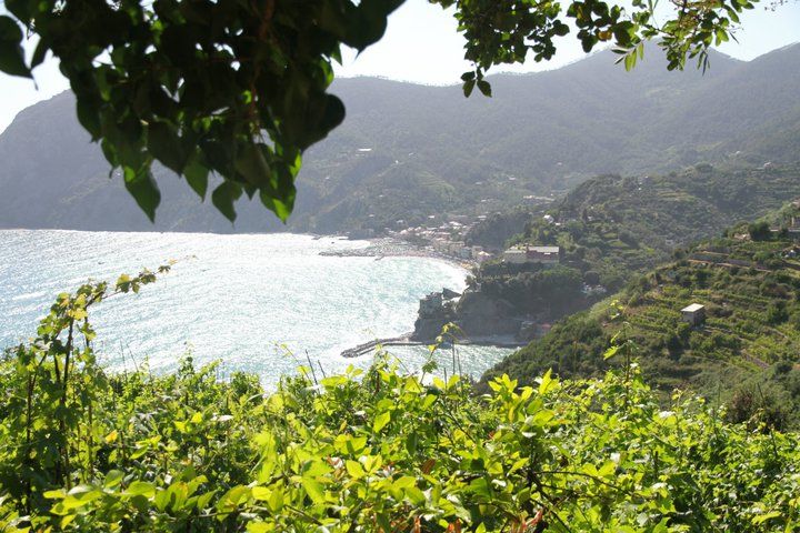 Photo of Feel It; Live It; Don’t just see it – Porto Venere and the Cinque Terre 30/52 by Vagabunda