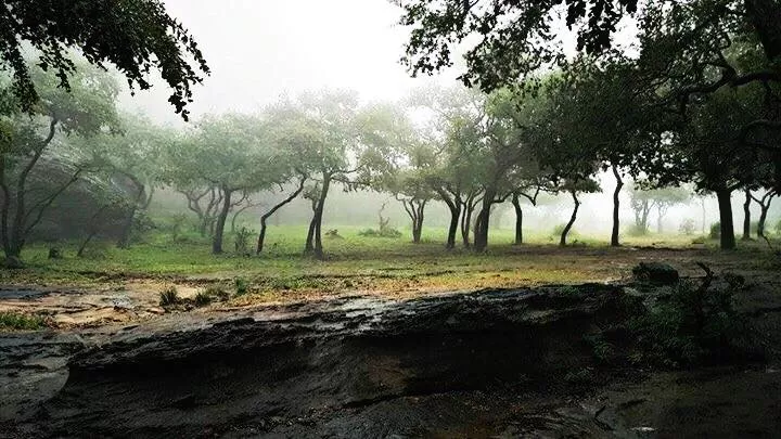 Photo of Pachmarhi..!! A Hill Station Of Madhya Pradesh, INDIA by Social Butterfly